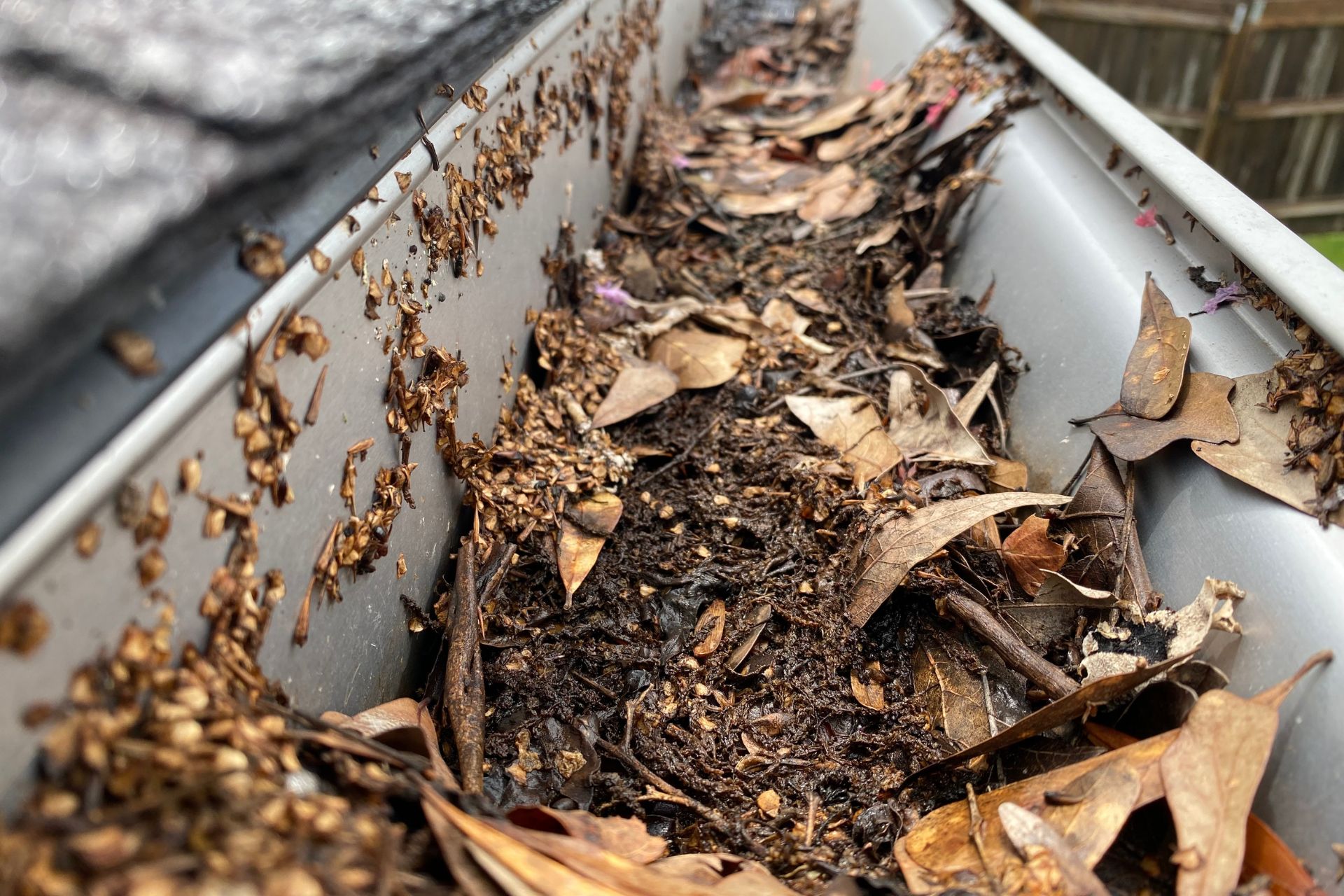 Save Time and Money With Leaf Guards in Baton ROuge 1