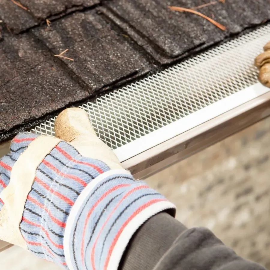 Leaf Guard Installation Near Me